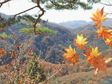 药流药怎么买璋利国际完成配售359万股 净筹约415万港元
