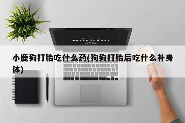 药流药怎么买小鹿狗打胎吃什么药(狗狗打胎后吃什么补身体)