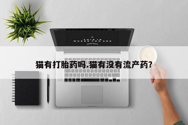 药流药怎么买猫有打胎药吗.猫有没有流产药？