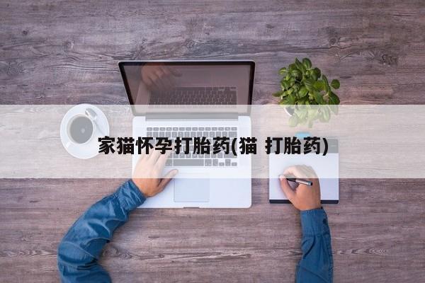 药流药怎么买家猫怀孕打胎药(猫 打胎药)